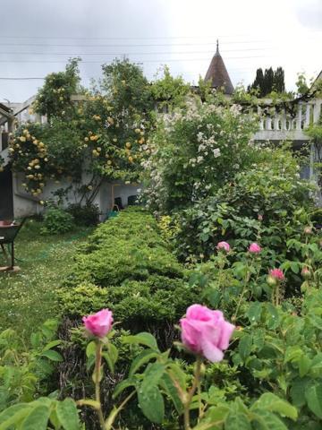 Un Paradis De Verdure En Plein Centre Ville Perigueux Luaran gambar